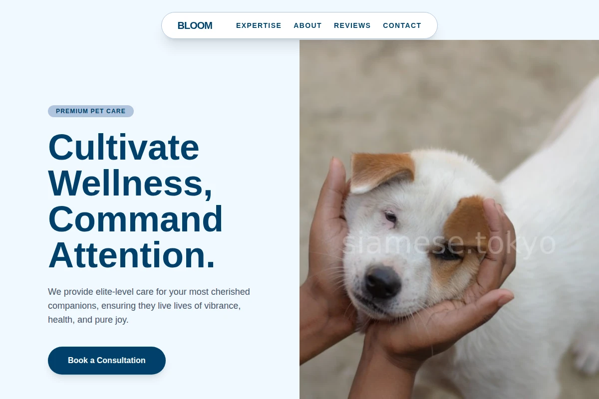 Bloom Animal Care