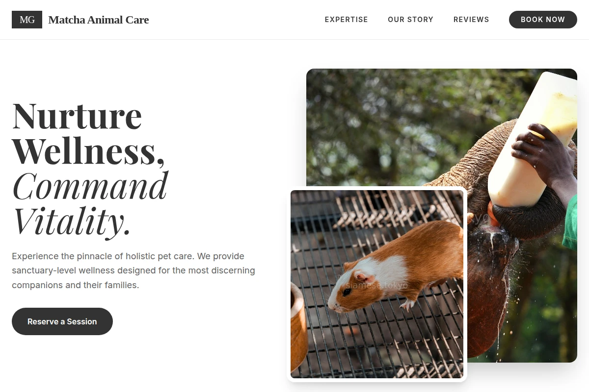 Matcha Animal Care