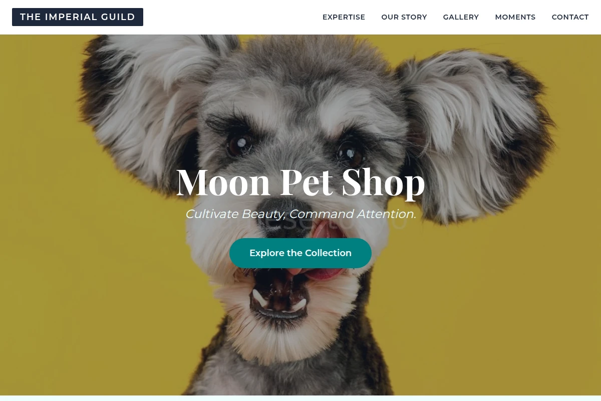 Moon Pet Shop