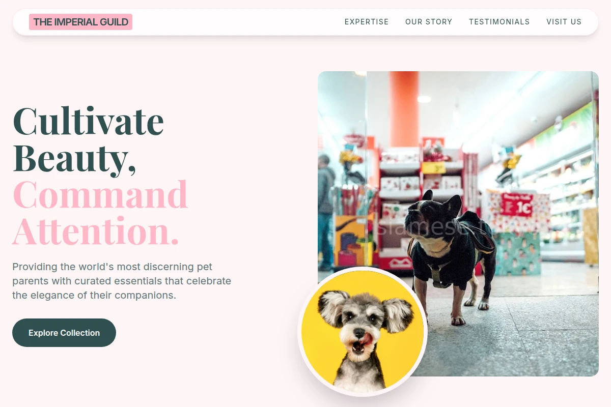 Boutique Pet Shop